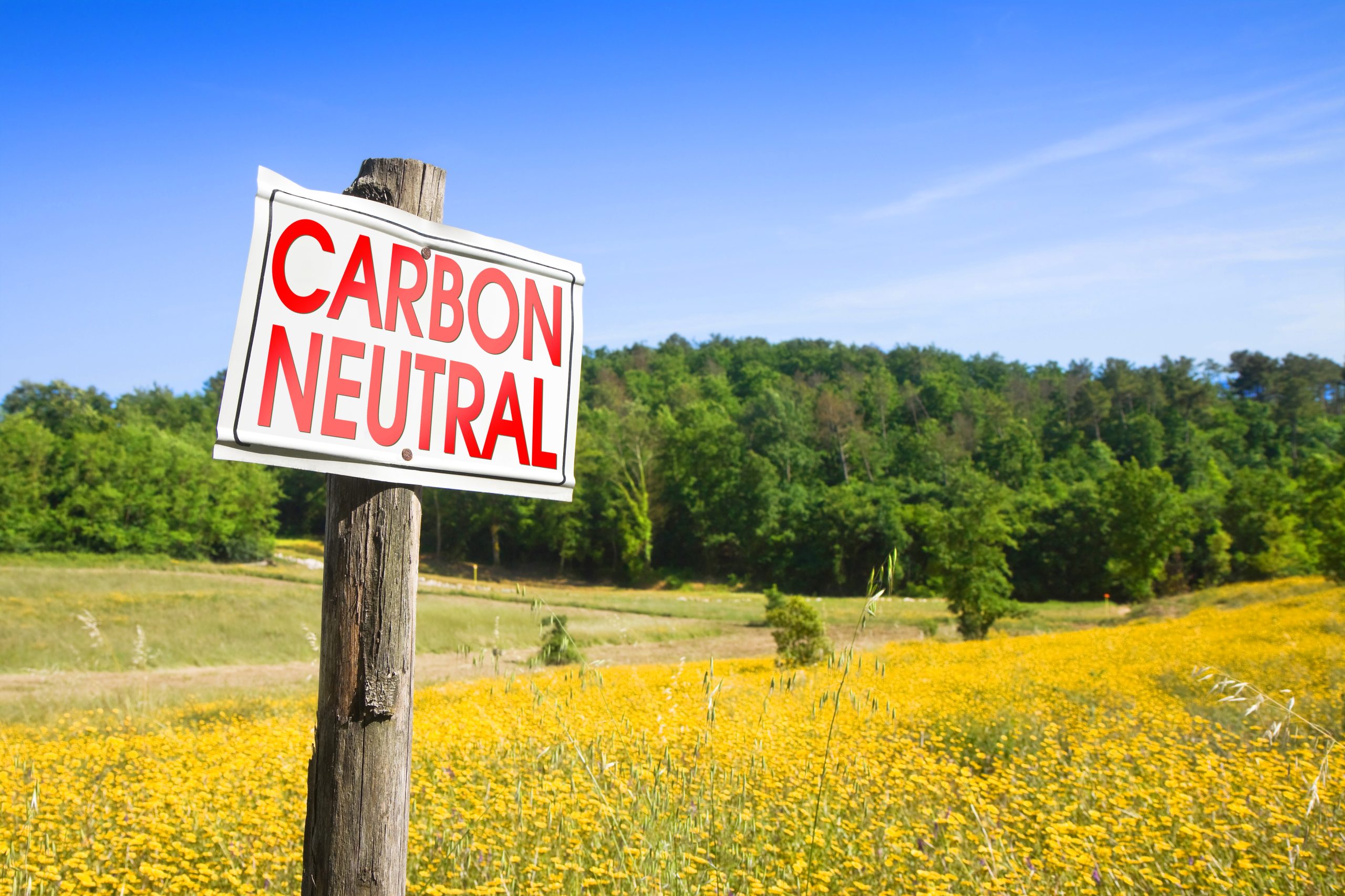Why Carbon Metrics and LCA Should be Approached With Caution | Future Business