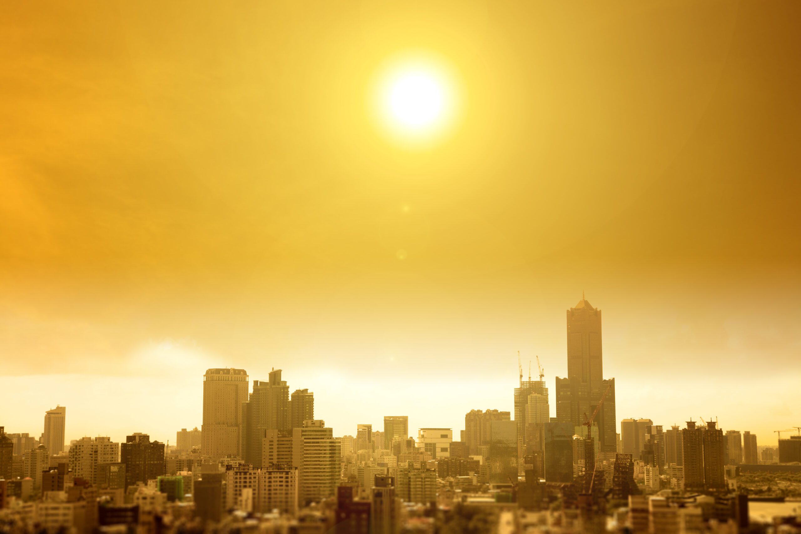 Heatwaves, Droughts, and Their Impact on Business| Future business|