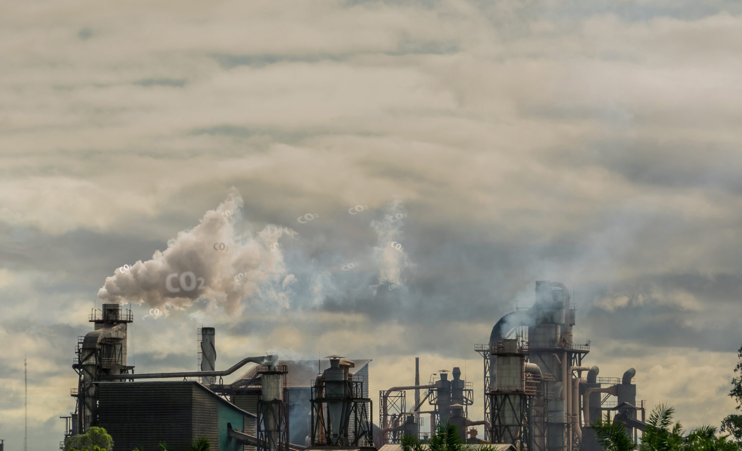 Real-World Appliances of Carbon Capture | Future Business | The Future Of Business