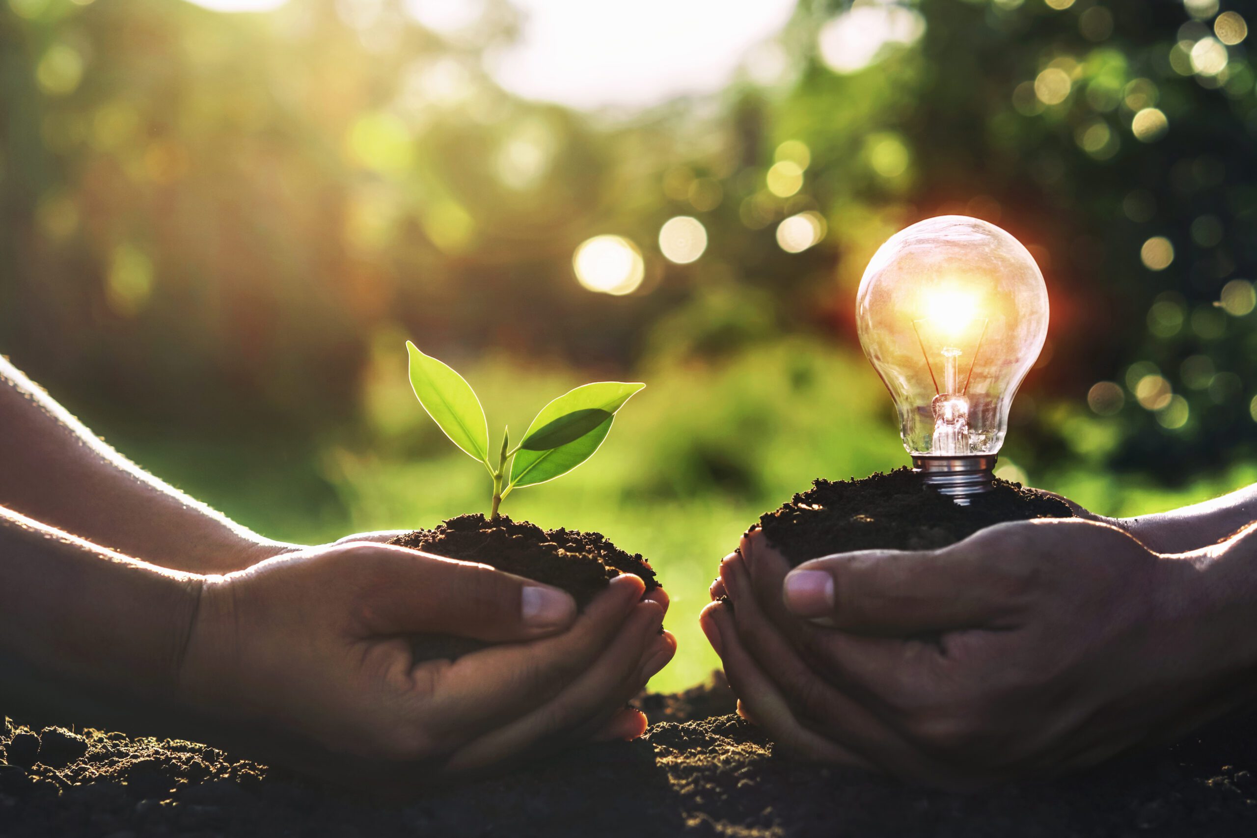 How is Sustainable Innovation Changing Industry? | FutureBusiness