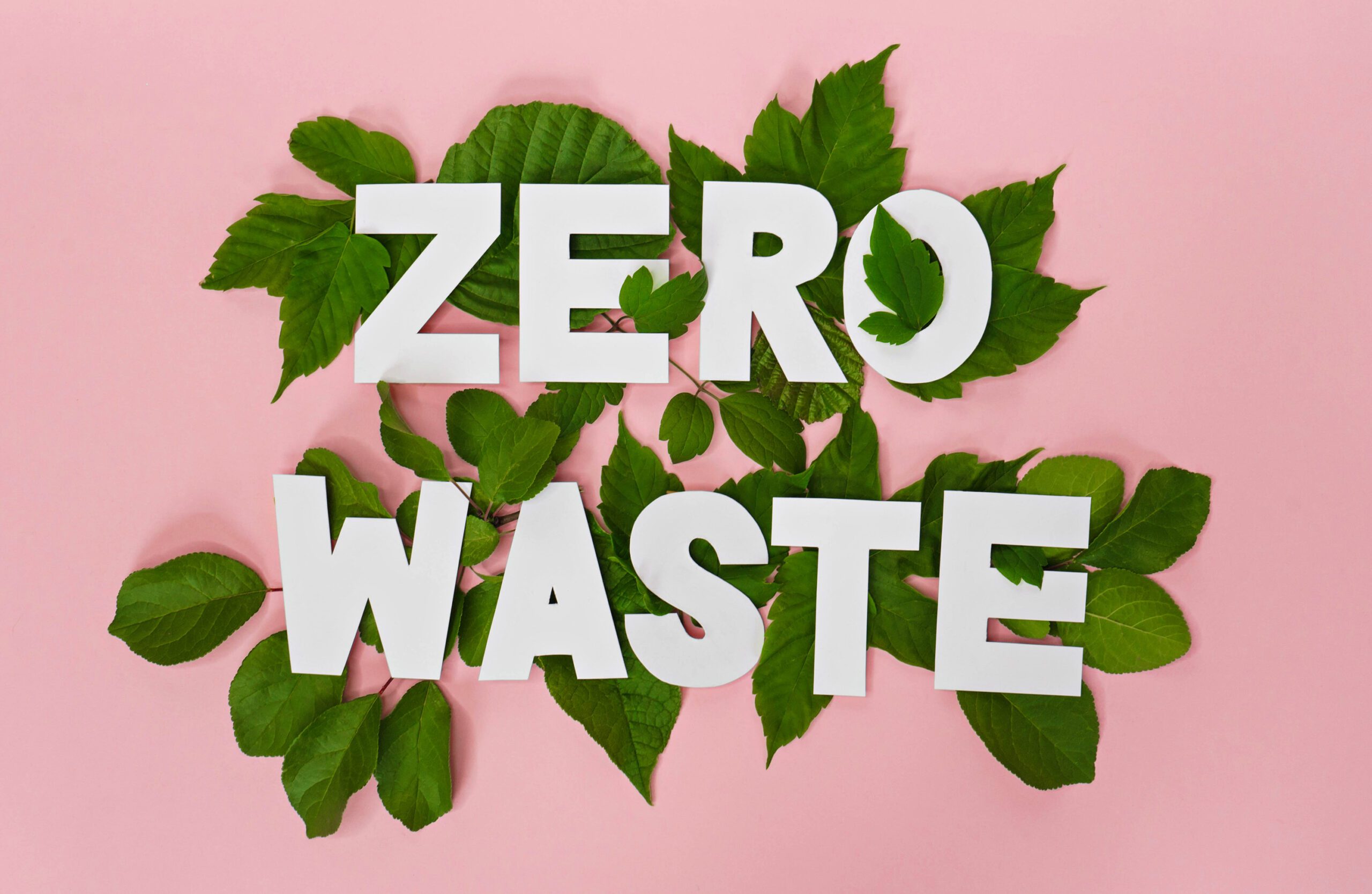 Sustainable Success: Zero-Waste Strategies for Businesses