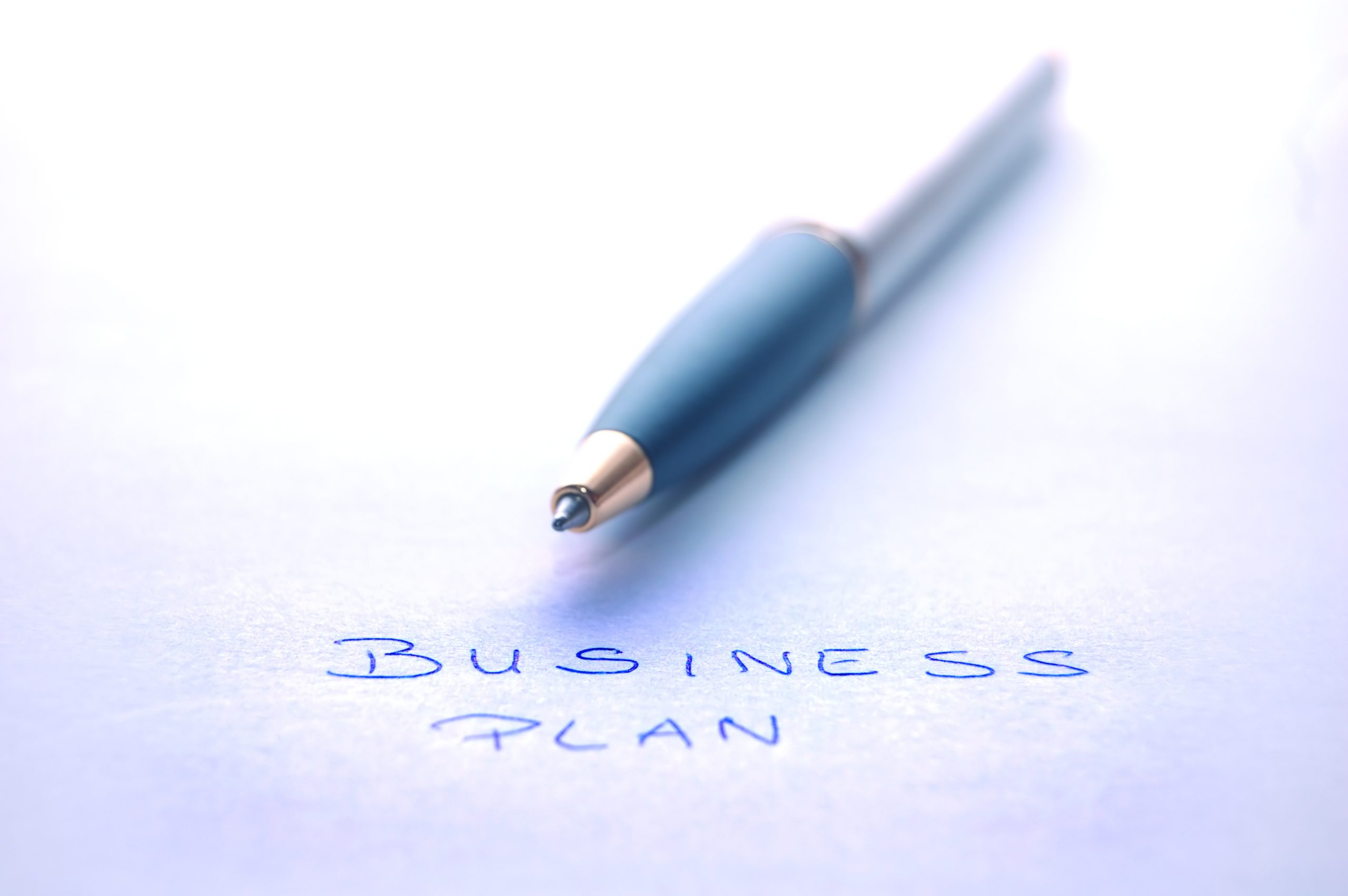 Creating a Long-Term Business Plan: What Should You Consider?